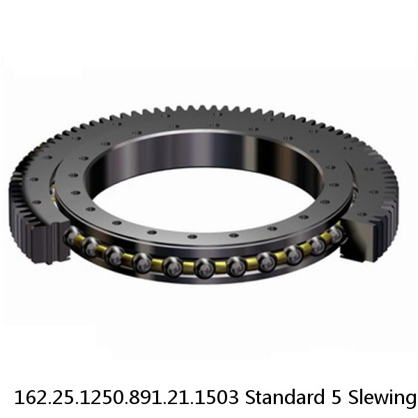 162.25.1250.891.21.1503 Standard 5 Slewing Ring Bearings