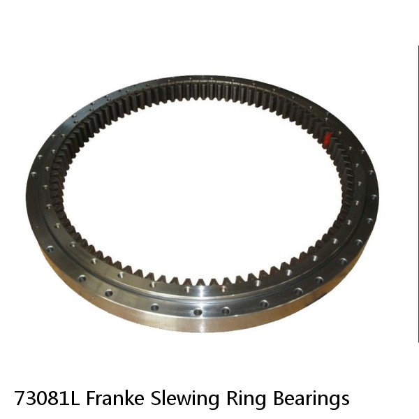 73081L Franke Slewing Ring Bearings