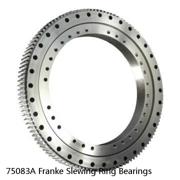 75083A Franke Slewing Ring Bearings #1 small image