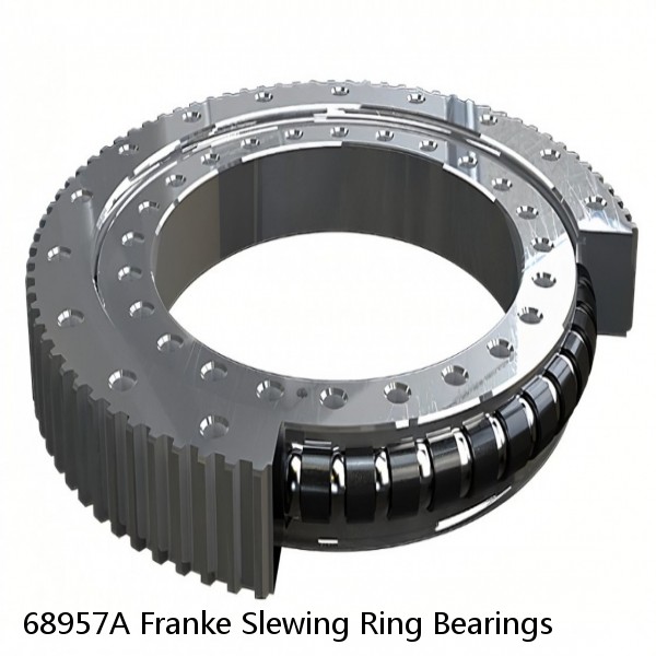 68957A Franke Slewing Ring Bearings