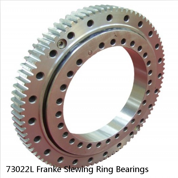 73022L Franke Slewing Ring Bearings #1 image