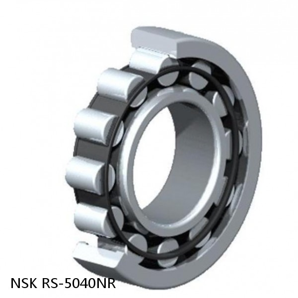 RS-5040NR NSK CYLINDRICAL ROLLER BEARING #1 image