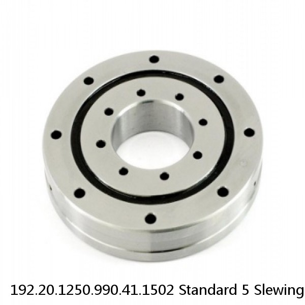 192.20.1250.990.41.1502 Standard 5 Slewing Ring Bearings #1 image