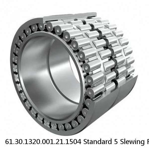 61.30.1320.001.21.1504 Standard 5 Slewing Ring Bearings #1 image