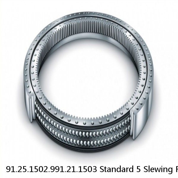 91.25.1502.991.21.1503 Standard 5 Slewing Ring Bearings #1 image