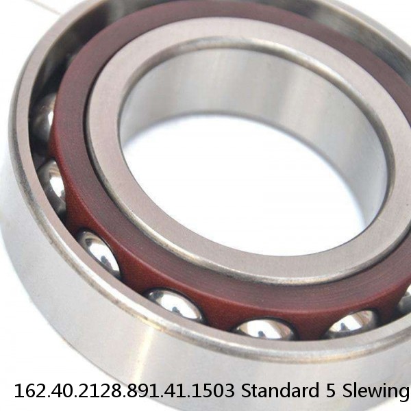 162.40.2128.891.41.1503 Standard 5 Slewing Ring Bearings #1 image