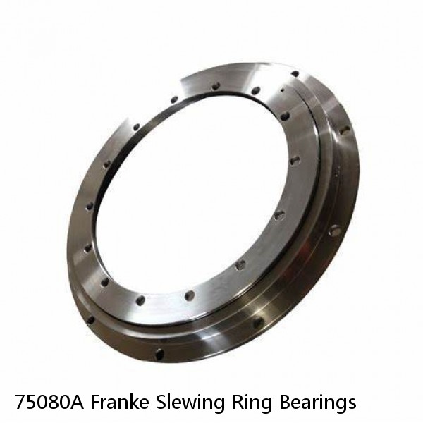 75080A Franke Slewing Ring Bearings #1 image