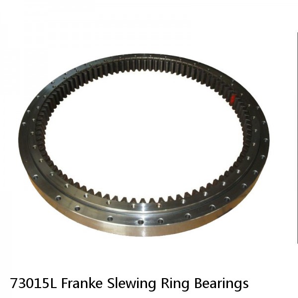 73015L Franke Slewing Ring Bearings #1 image