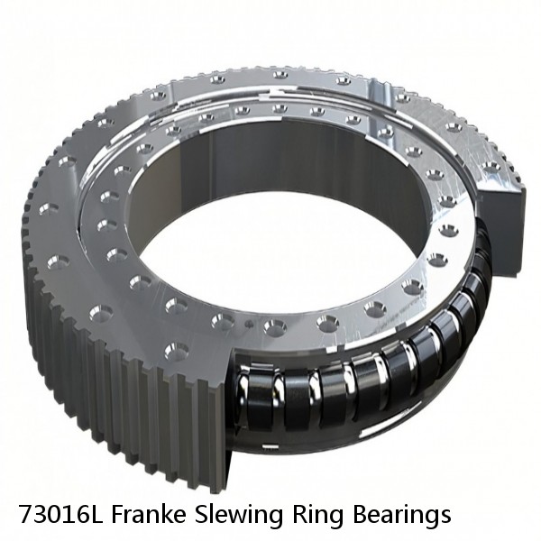 73016L Franke Slewing Ring Bearings #1 image