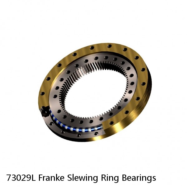 73029L Franke Slewing Ring Bearings #1 image