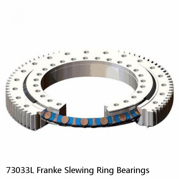 73033L Franke Slewing Ring Bearings #1 image