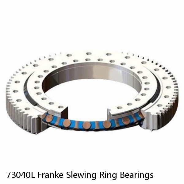 73040L Franke Slewing Ring Bearings #1 image