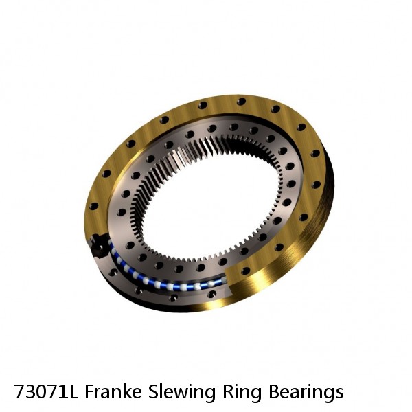 73071L Franke Slewing Ring Bearings #1 image