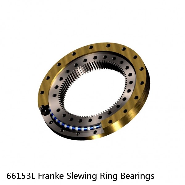 66153L Franke Slewing Ring Bearings #1 image