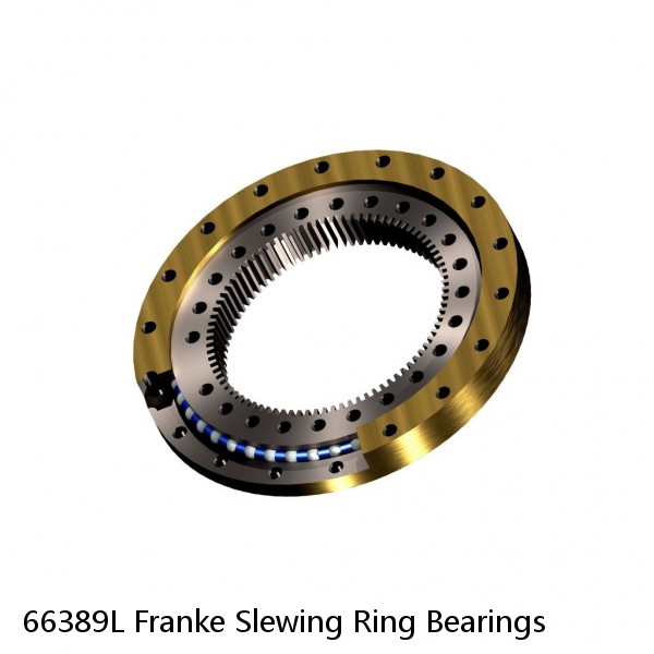 66389L Franke Slewing Ring Bearings #1 image