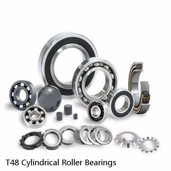 T48 Cylindrical Roller Bearings #1 image