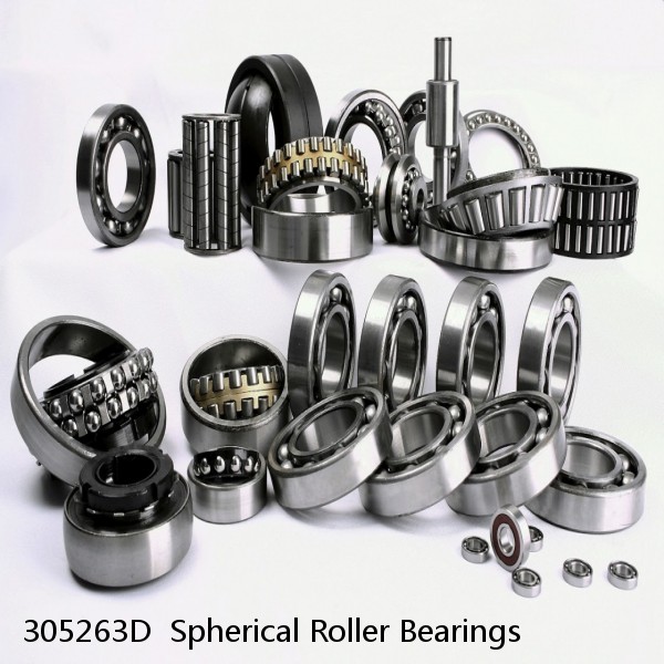 305263D  Spherical Roller Bearings #1 image