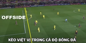 https://blekitna.tv/